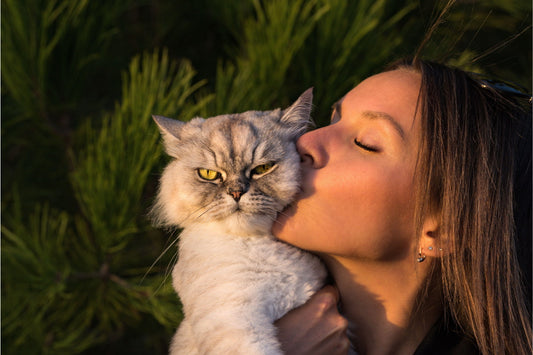 Cat Couples vs. Dog Couples: The Ultimate Relationship Showdown